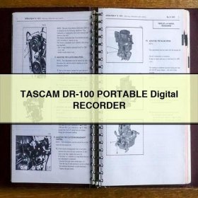 TASCAM DR-100 PORTABLE Digital RECORDER