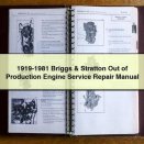 1919-1981 Briggs & Stratton Out of Production Engine Service Repair Manual PDF Download