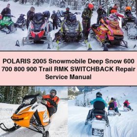 POLARIS 2005 Snowmobile Deep Snow 600 700 800 900 Trail RMK SWITCHBACK Repair Service Manual PDF Download