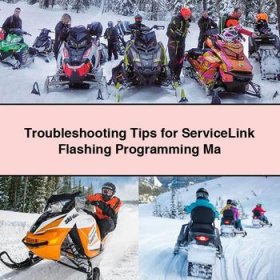 Troubleshooting Tips for ServiceLink Flashing Programming Ma