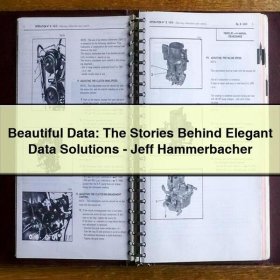 Beautiful Data: The Stories Behind Elegant Data Solutions-Jeff Hammerbacher