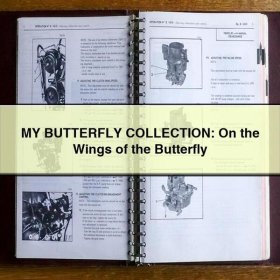 MY BUTTERFLY COLLECTION: On the Wings of the Butterfly