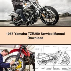 1987 Yamaha TZR250 Service Repair Manual