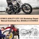 KYMCO AGILITY CITY 125 Workshop Repair Manual All ModelS COVERED